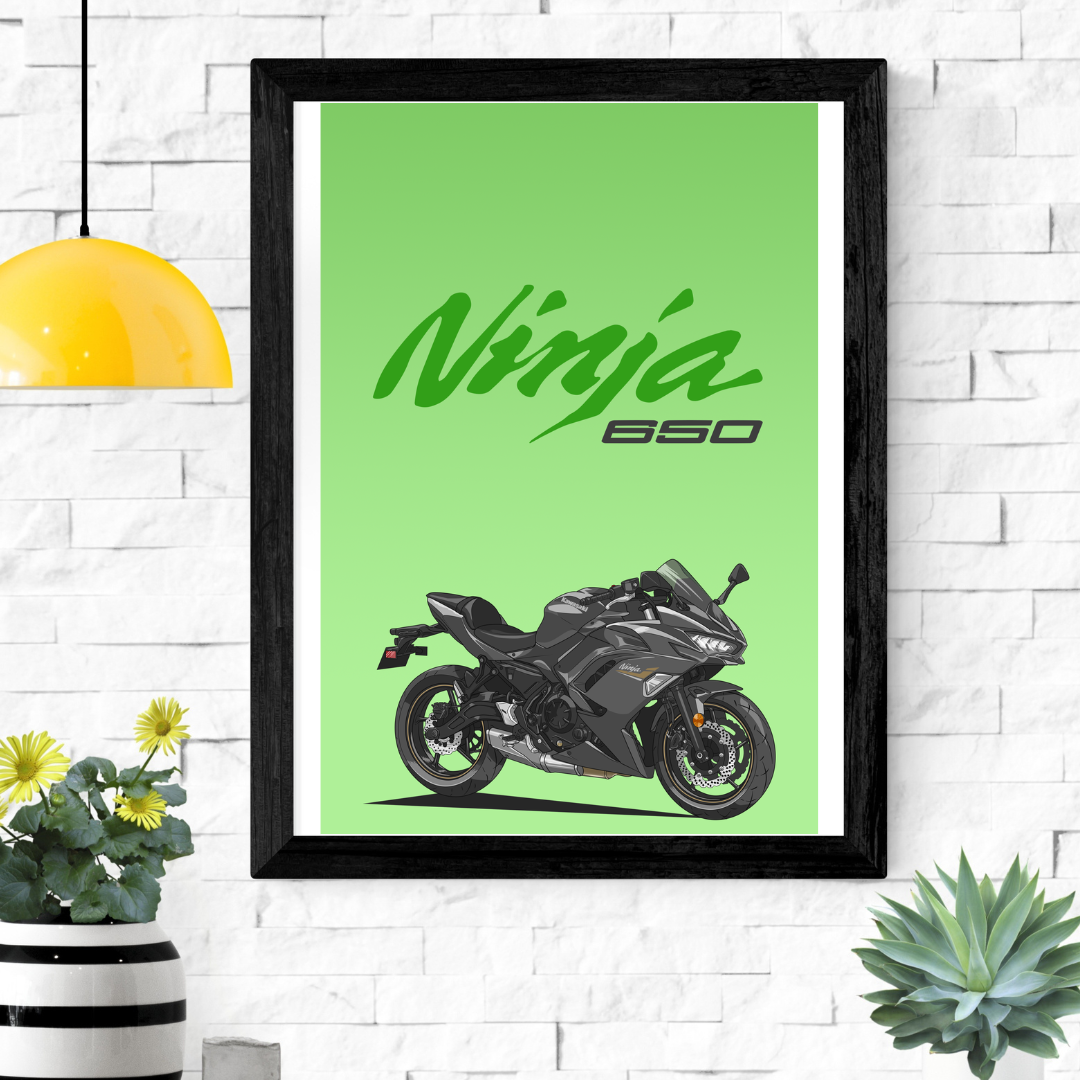 TTW Posters - Ninja 650